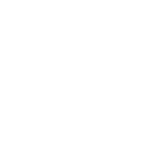 Vision Icon